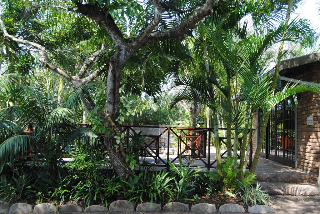 African Dreamz Guest House Saint Lucia Estuary Exteriör bild
