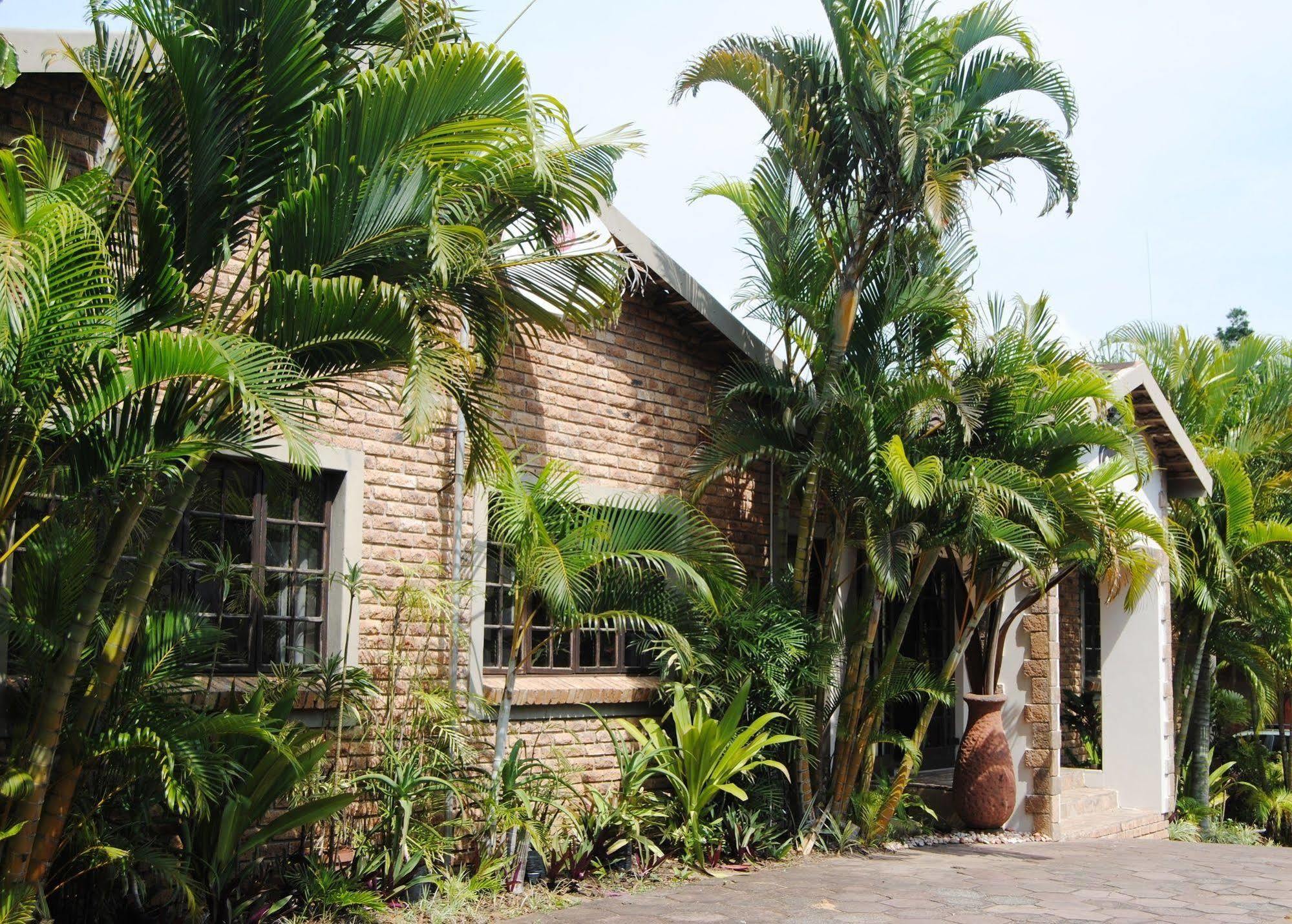 African Dreamz Guest House Saint Lucia Estuary Exteriör bild